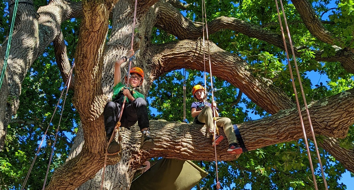 Goodleaf Tree Climbing, Isle of Wight